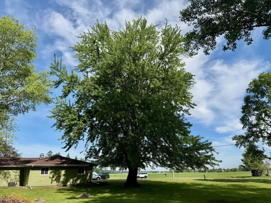 6232 Baker Road Bridgeport Charter Township MI 48722