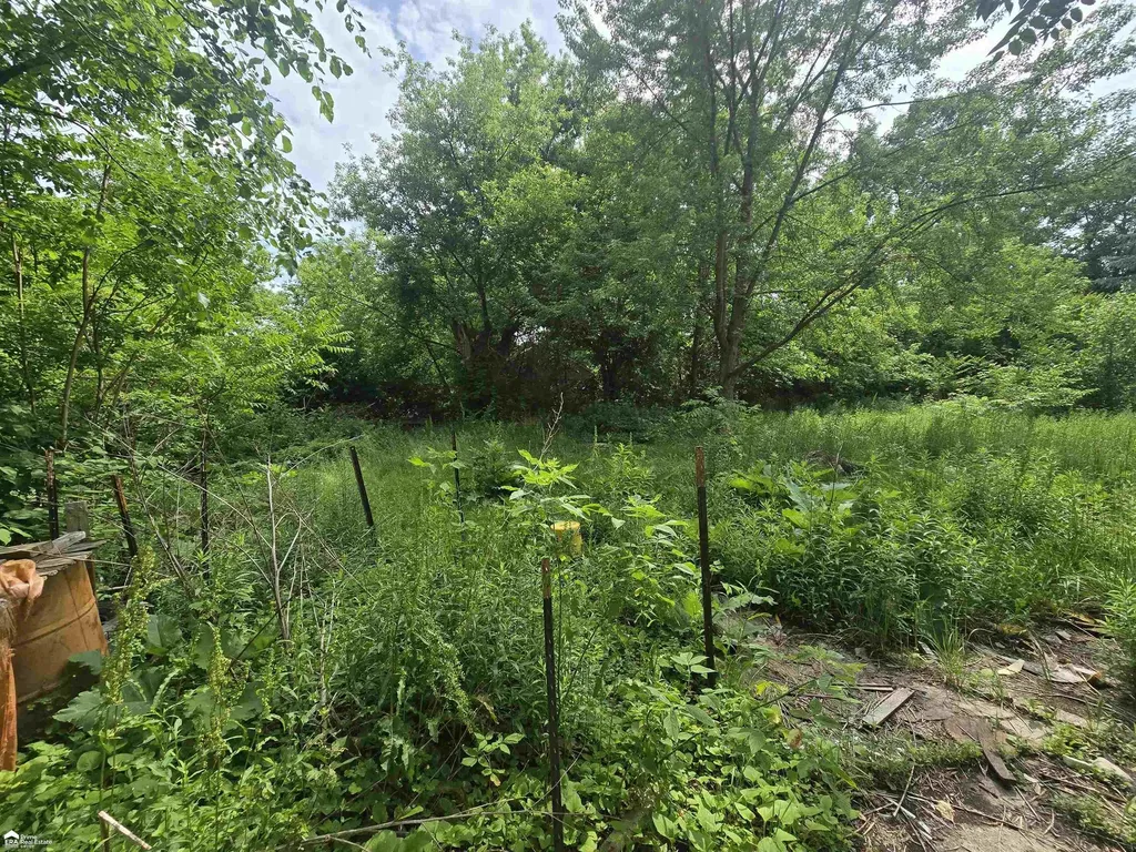 3233 Home Avenue Mt. Morris City MI 48504