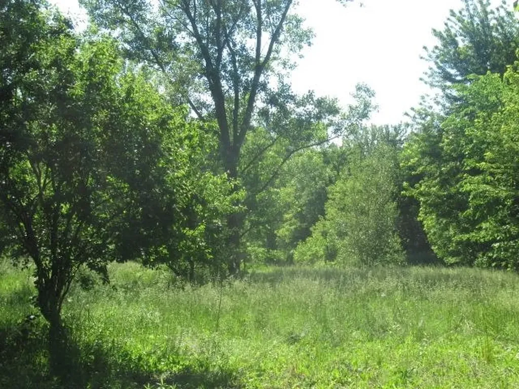 2082 Morrish Road Clayton Charter Township MI 48473