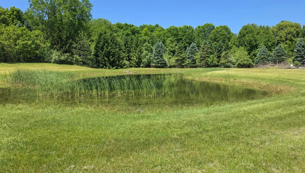 6089 N Seymour Road Flushing Charter Township MI 48433