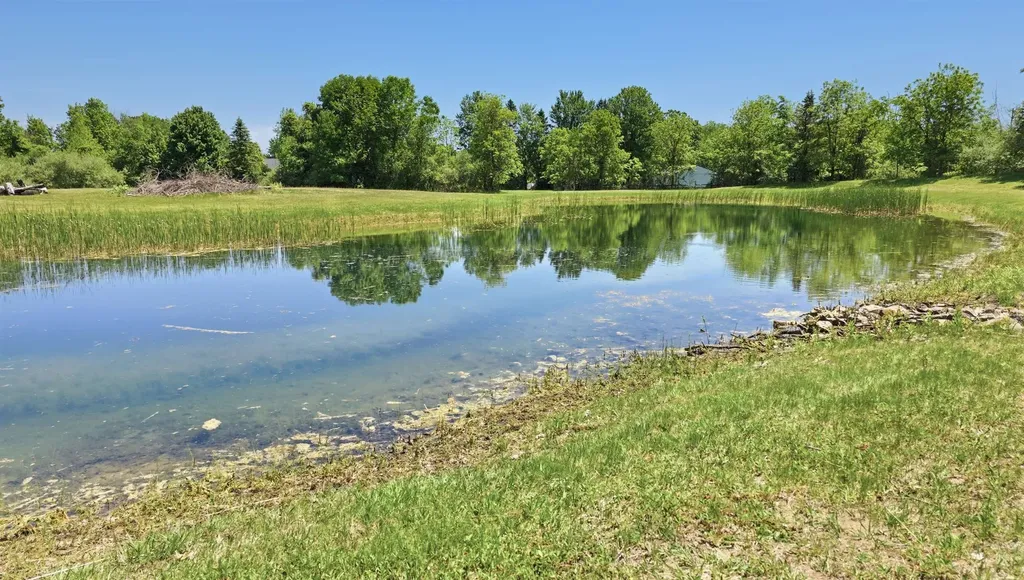 6089 N Seymour Road Flushing Charter Township MI 48433