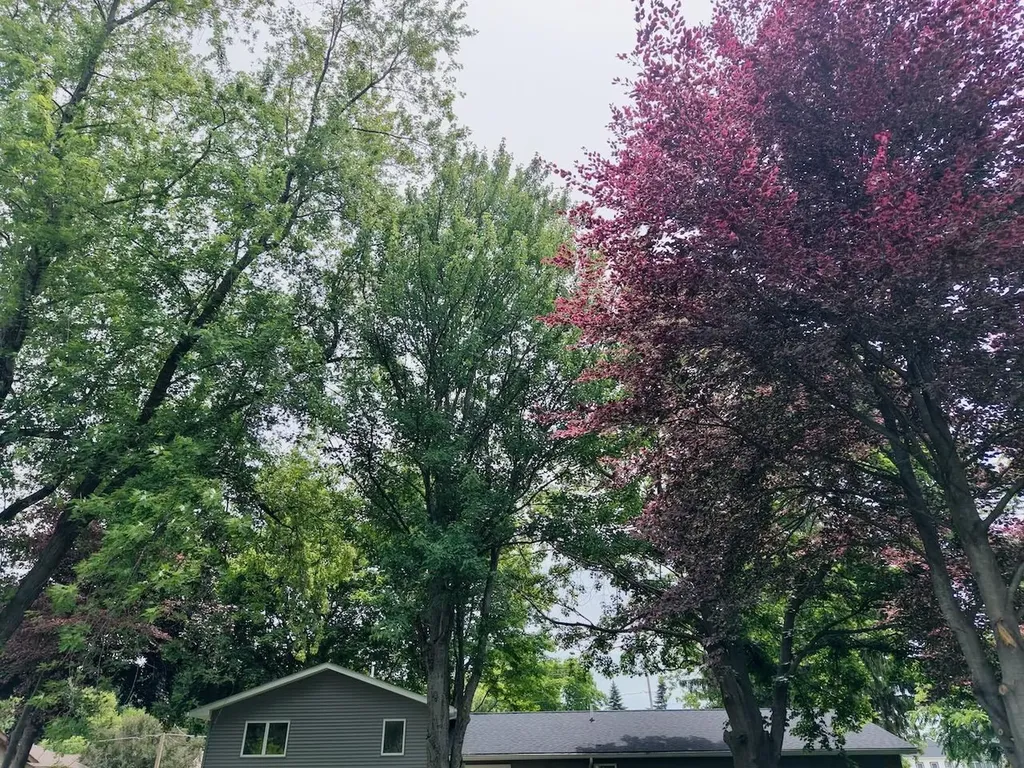 605 E Liberty Street Chesaning Village MI 48616