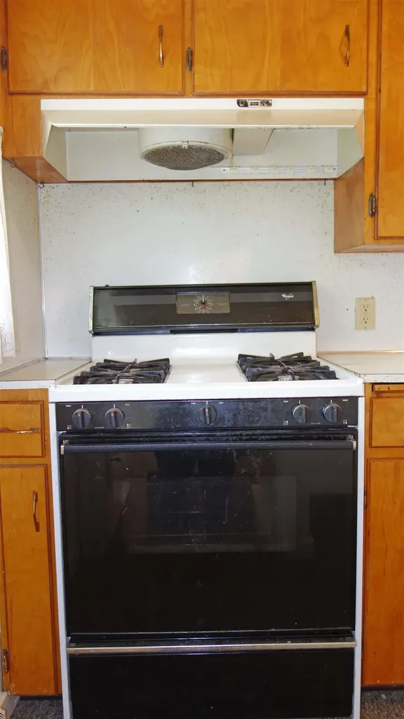 326 S Clark Street Chesaning Village MI 48616