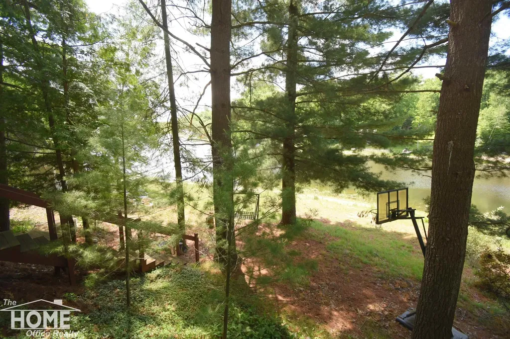 1121 & 1131 Lake Drive Lincoln Township MI 48625