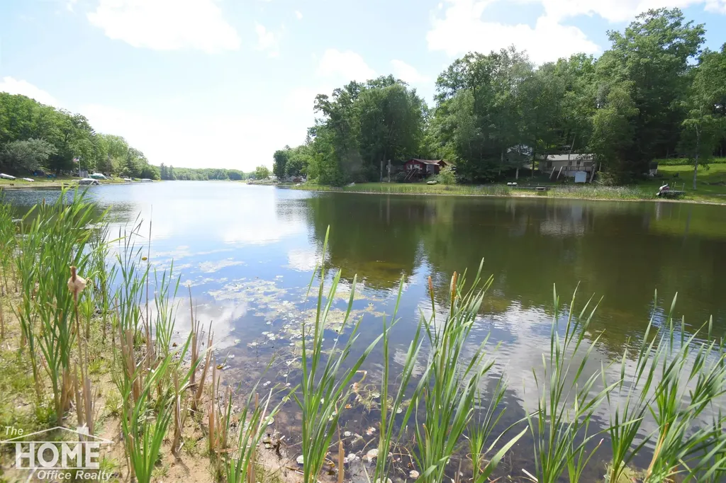 1121 & 1131 Lake Drive Lincoln Township MI 48625