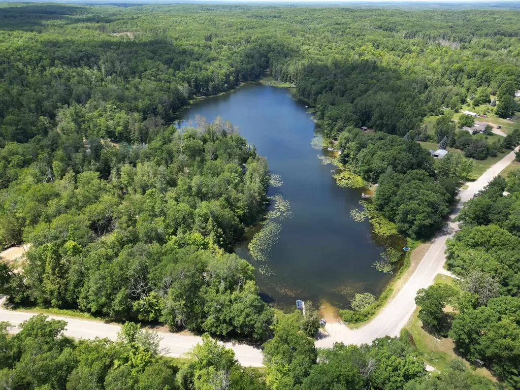 540 Hilltop Drive Rose Township MI 48654