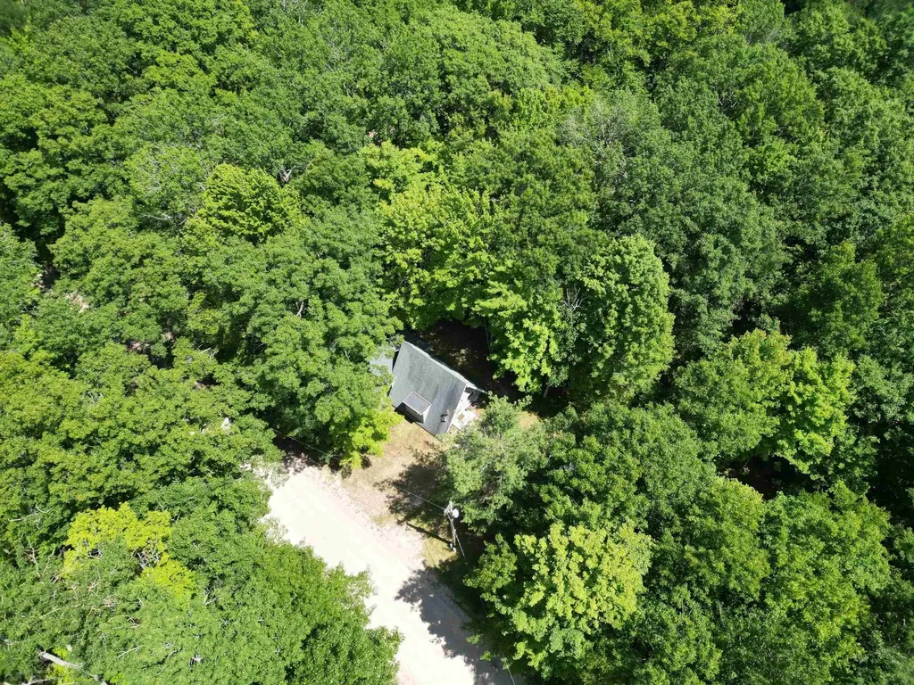 540 Hilltop Drive Rose Township MI 48654