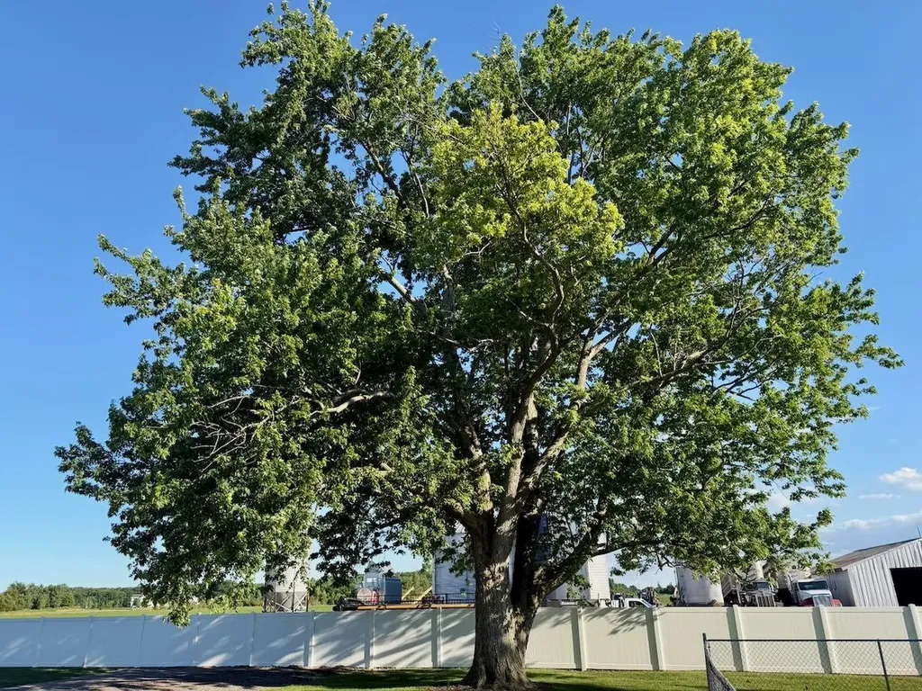 5577 Peet Road Maple Grove Township MI 48616