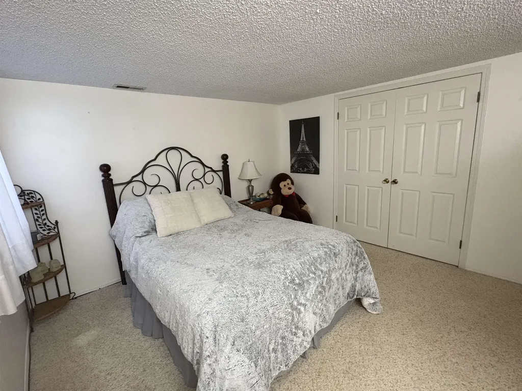 5288 Vineyard Lane Mt. Morris Township MI 48433