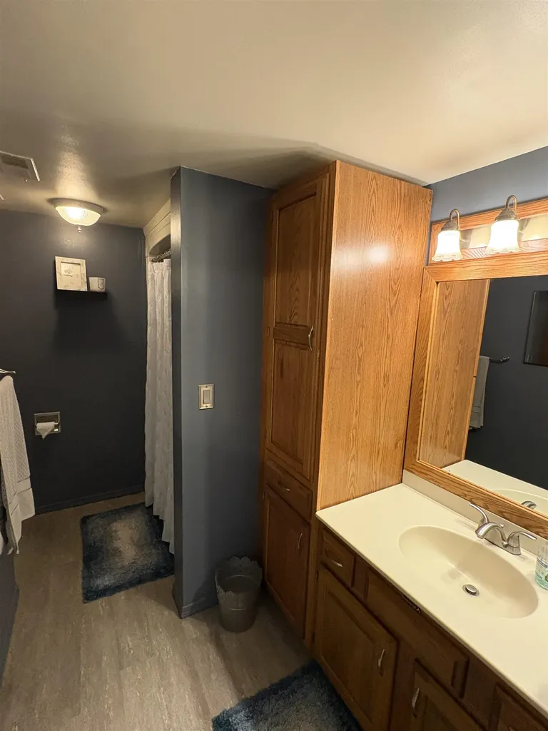 5288 Vineyard Lane Mt. Morris Township MI 48433