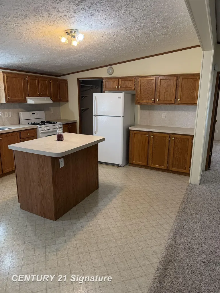 196 Apollo Avenue Flushing Charter Township MI 48433