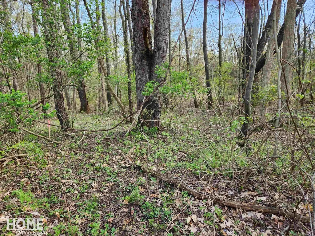7405 W Lansing Road Perry Township MI 48872