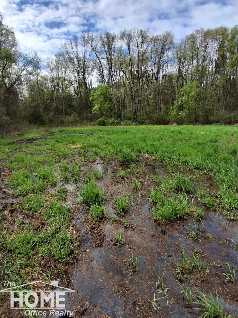 7405 W Lansing Road Perry Township MI 48872