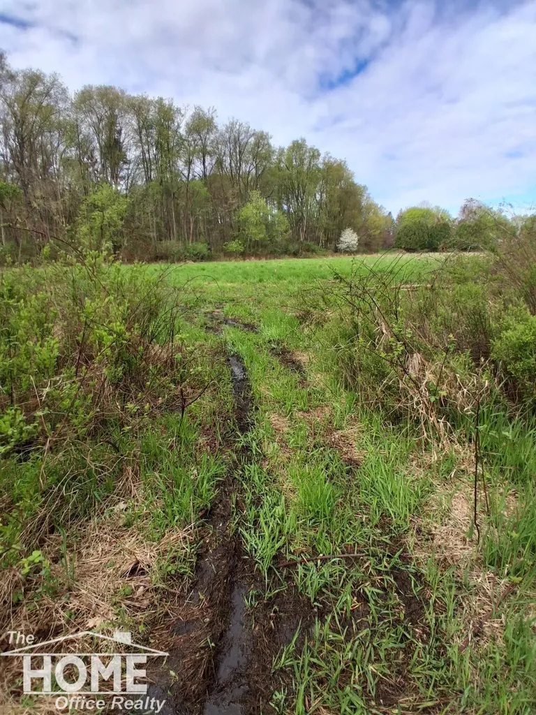 7405 W Lansing Road Perry Township MI 48872