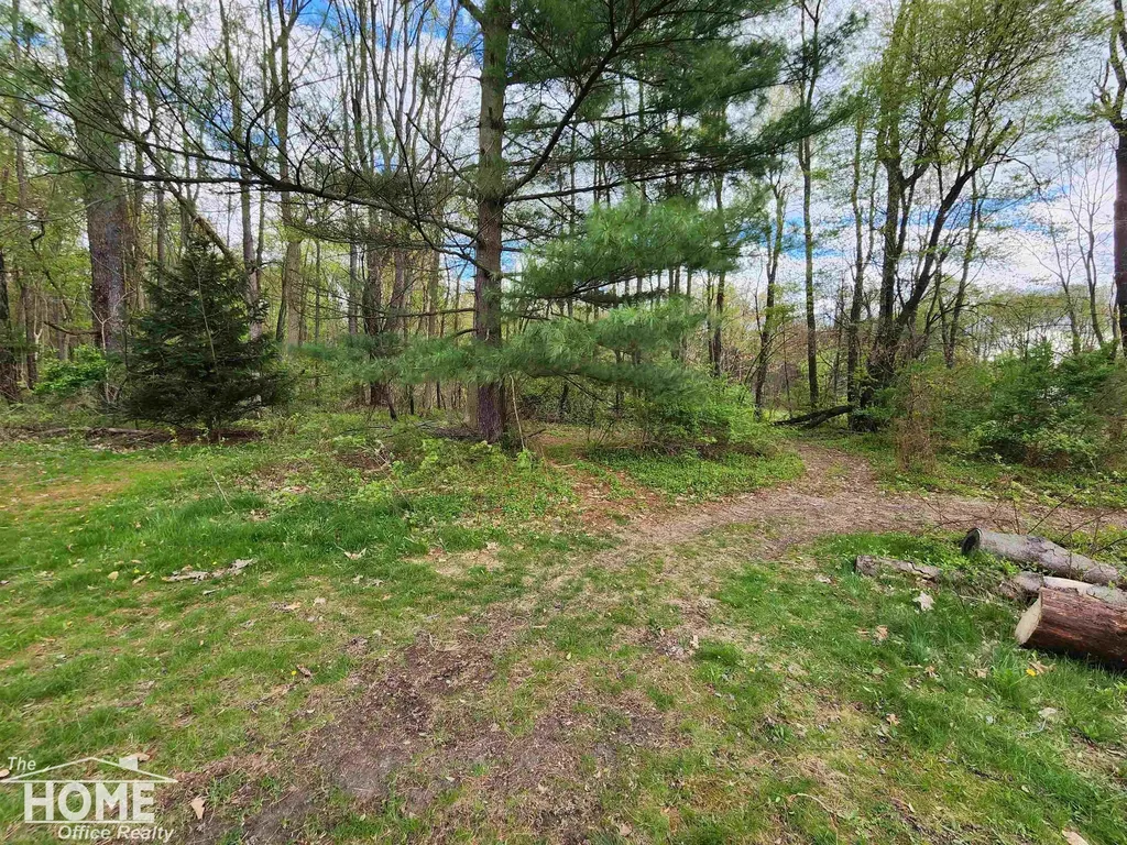 7405 W Lansing Road Perry Township MI 48872