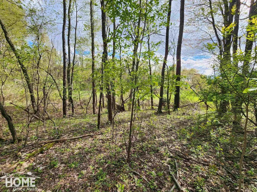 7405 W Lansing Road Perry Township MI 48872