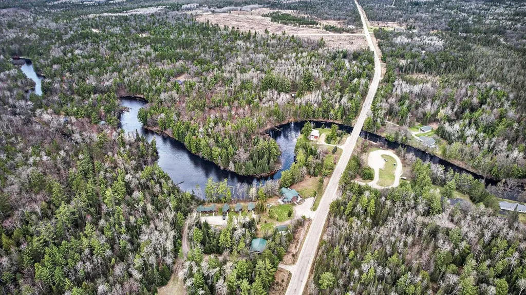 10935 Linger Longer Road South Branch Township MI 49738