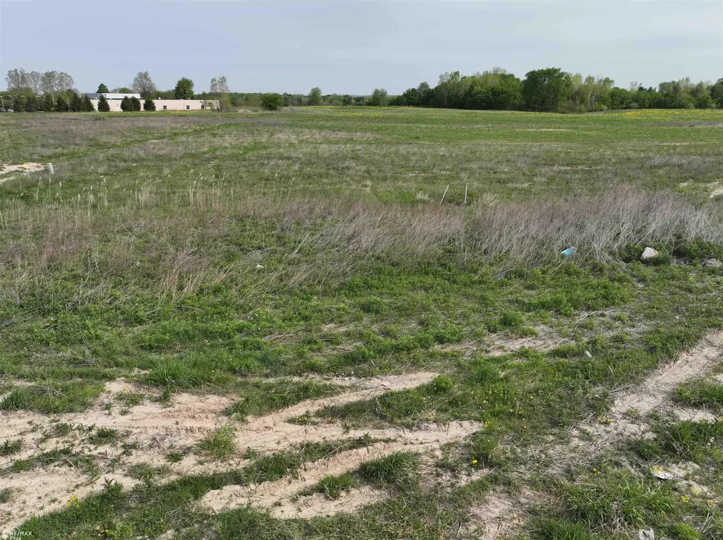 Woodbridge Park Avenue Mayfield Township MI 48446