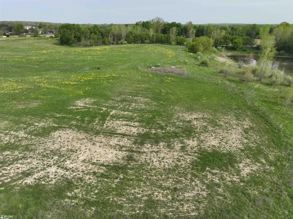 Woodbridge Park Avenue Mayfield Township MI 48446