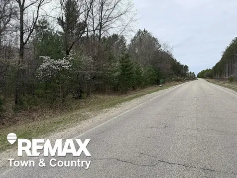 6450 Otter Trail Moffatt Township MI 48610