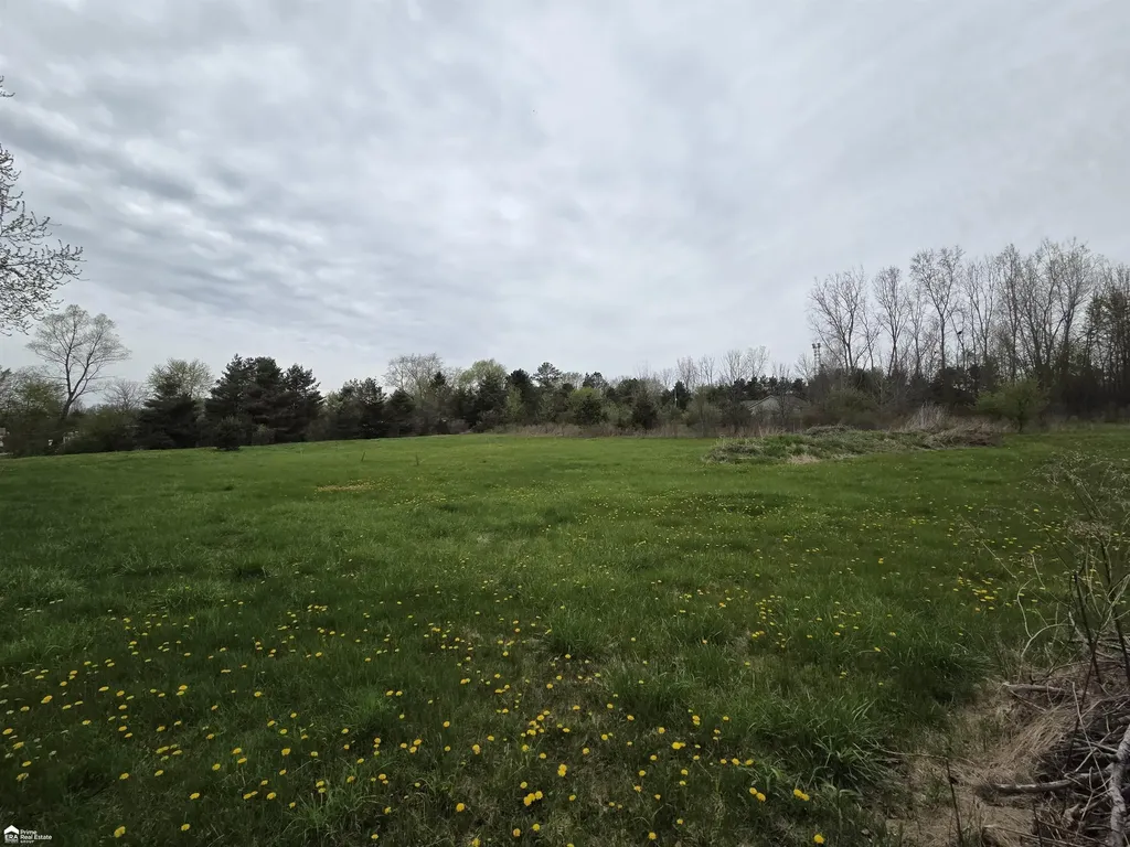 11144 N Lewis Road Thetford Township MI 48420