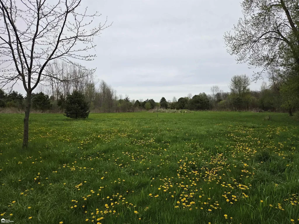 11144 N Lewis Road Thetford Township MI 48420