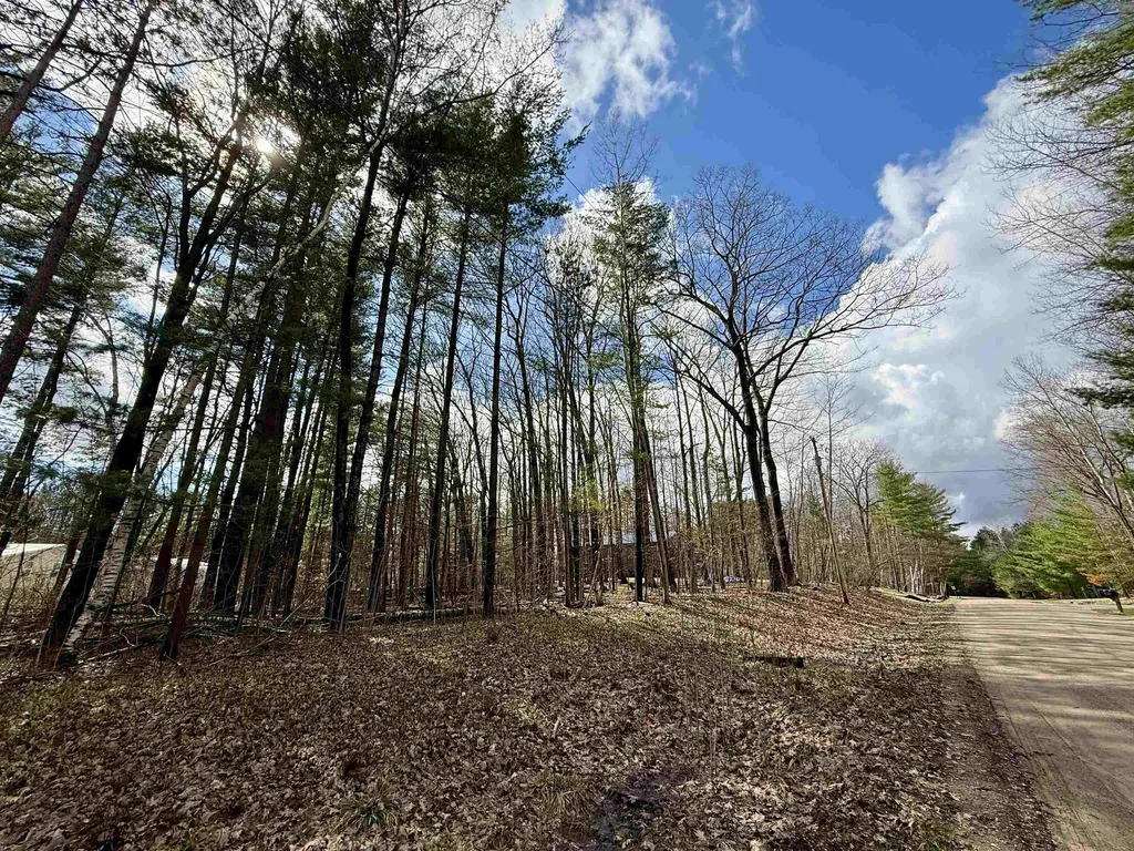 Wildwood Drive Grout Township MI 48624