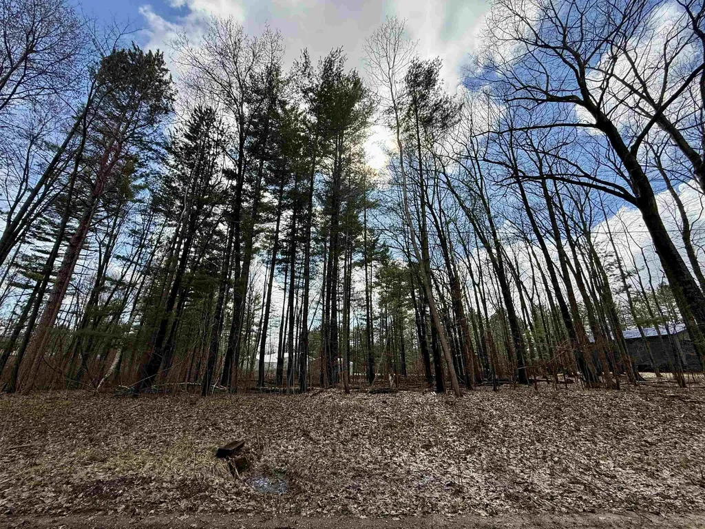 Wildwood Drive Grout Township MI 48624