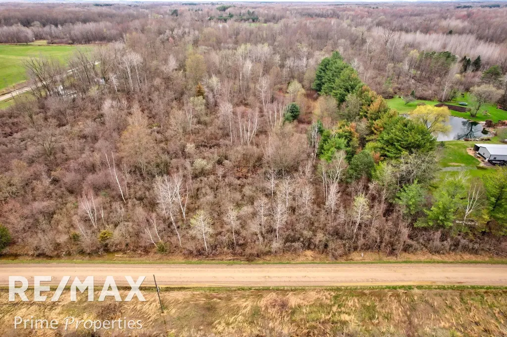 0000 S Plain Road Wells Township MI 48723