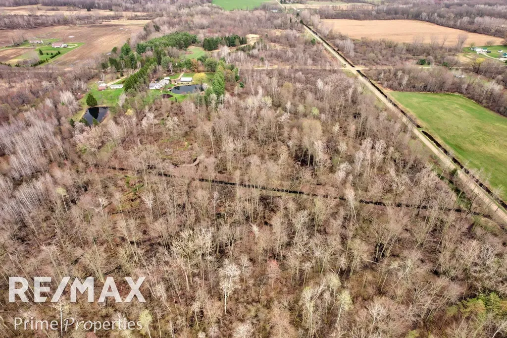 0000 S Plain Road Wells Township MI 48723