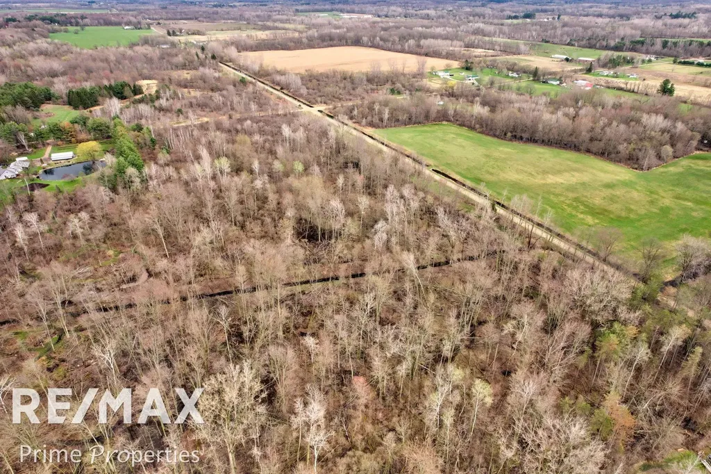 0000 S Plain Road Wells Township MI 48723