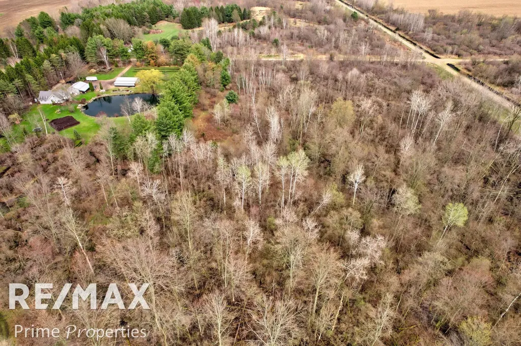 0000 S Plain Road Wells Township MI 48723