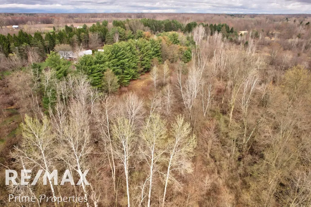0000 S Plain Road Wells Township MI 48723