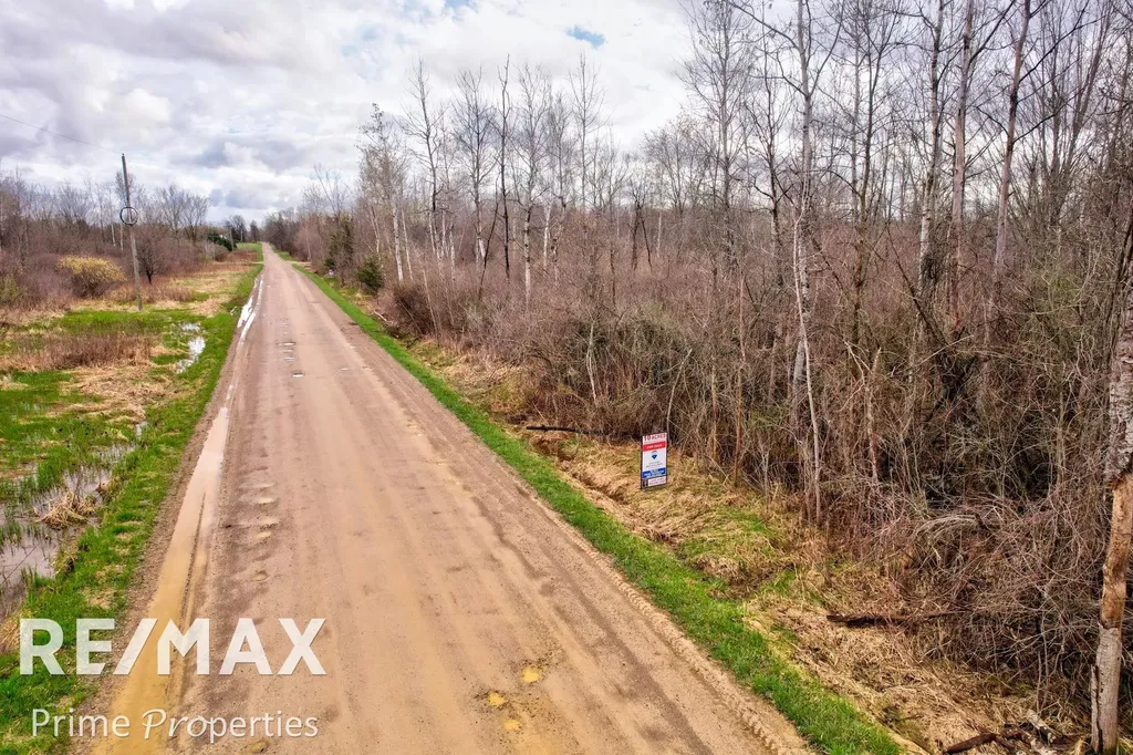 0000 S Plain Road Wells Township MI 48723