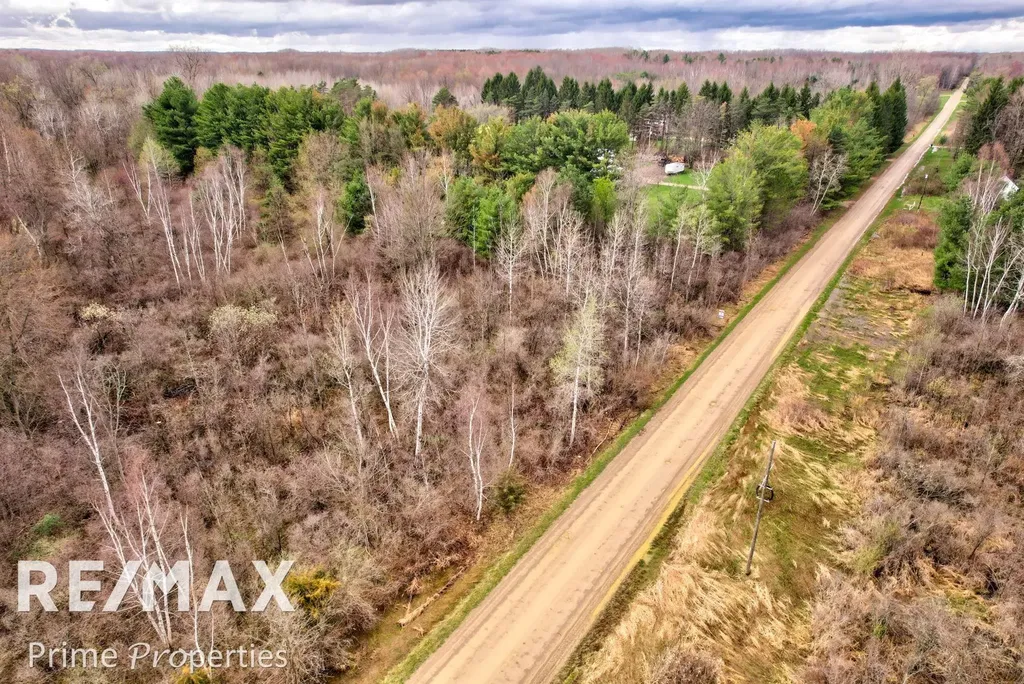 0000 S Plain Road Wells Township MI 48723