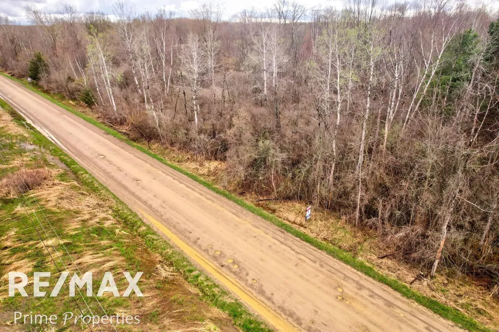 0000 S Plain Road Wells Township MI 48723