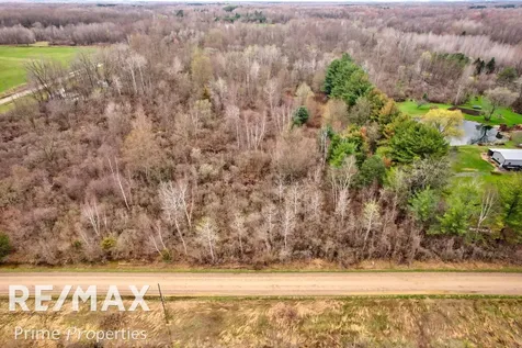 0000 S Plain Road Wells Township MI 48723