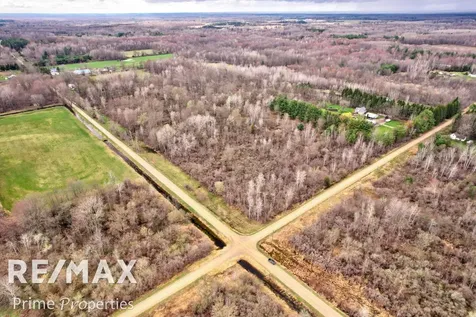 0000 S Plain Road Wells Township MI 48723