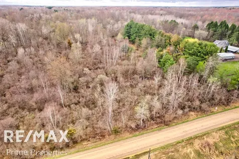 0000 S Plain Road Wells Township MI 48723