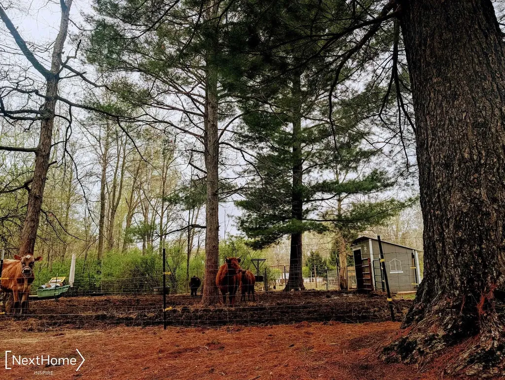 5720 Chambers Road Fremont Township MI 48744