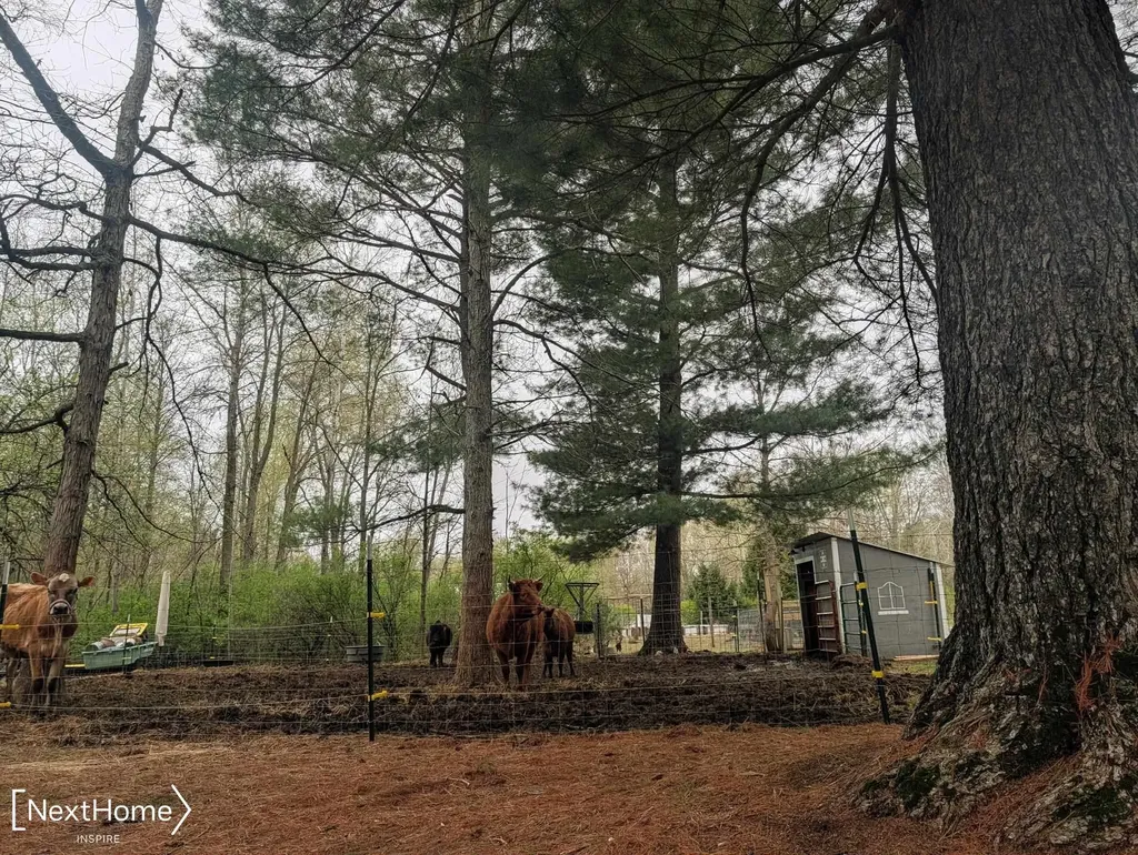 5720 Chambers Road Fremont Township MI 48744