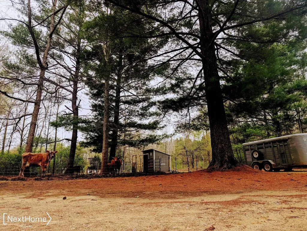 5720 Chambers Road Fremont Township MI 48744