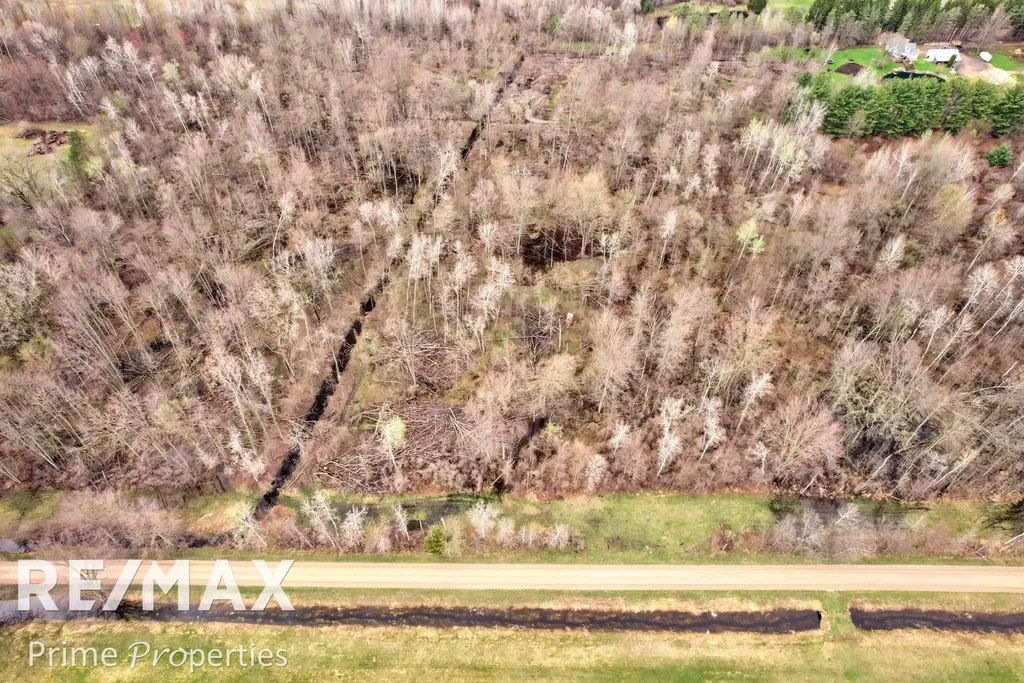 0000 S Plain & Curry Road Wells Township MI 48723