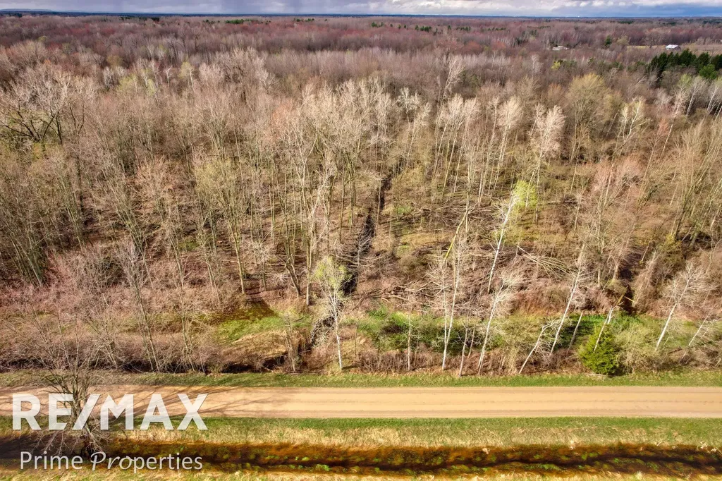 0000 S Plain & Curry Road Wells Township MI 48723