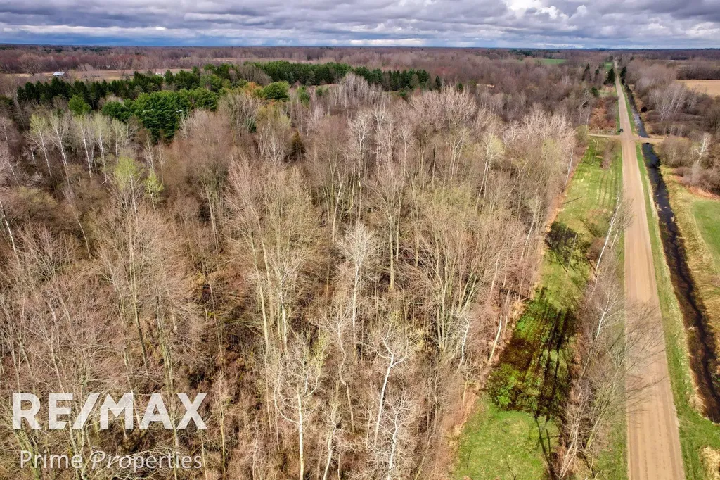 0000 S Plain & Curry Road Wells Township MI 48723