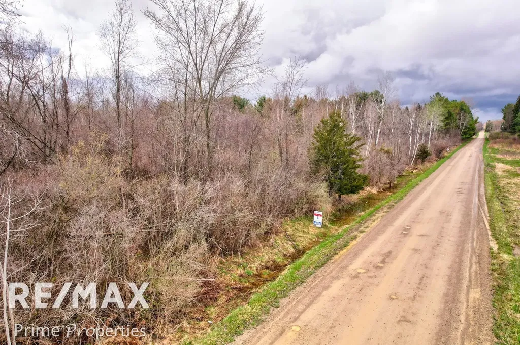 0000 S Plain & Curry Road Wells Township MI 48723