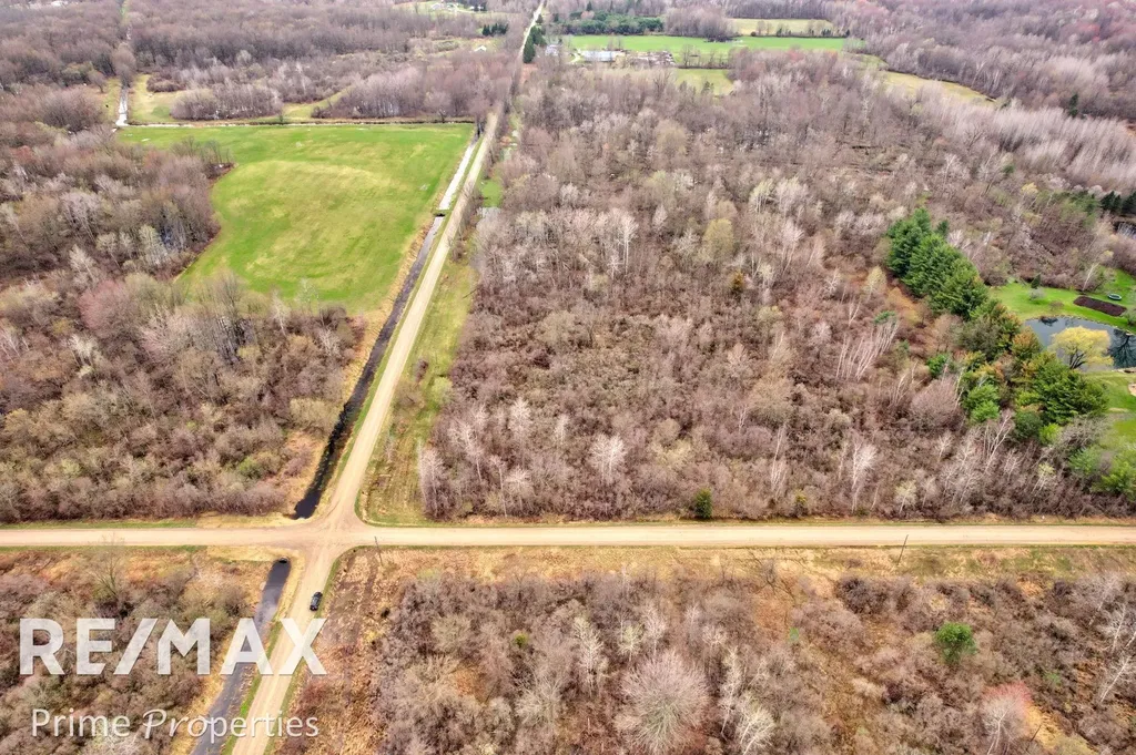 0000 S Plain & Curry Road Wells Township MI 48723