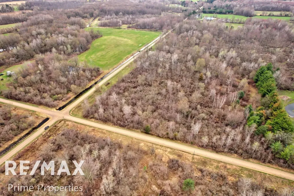 0000 S Plain & Curry Road Wells Township MI 48723