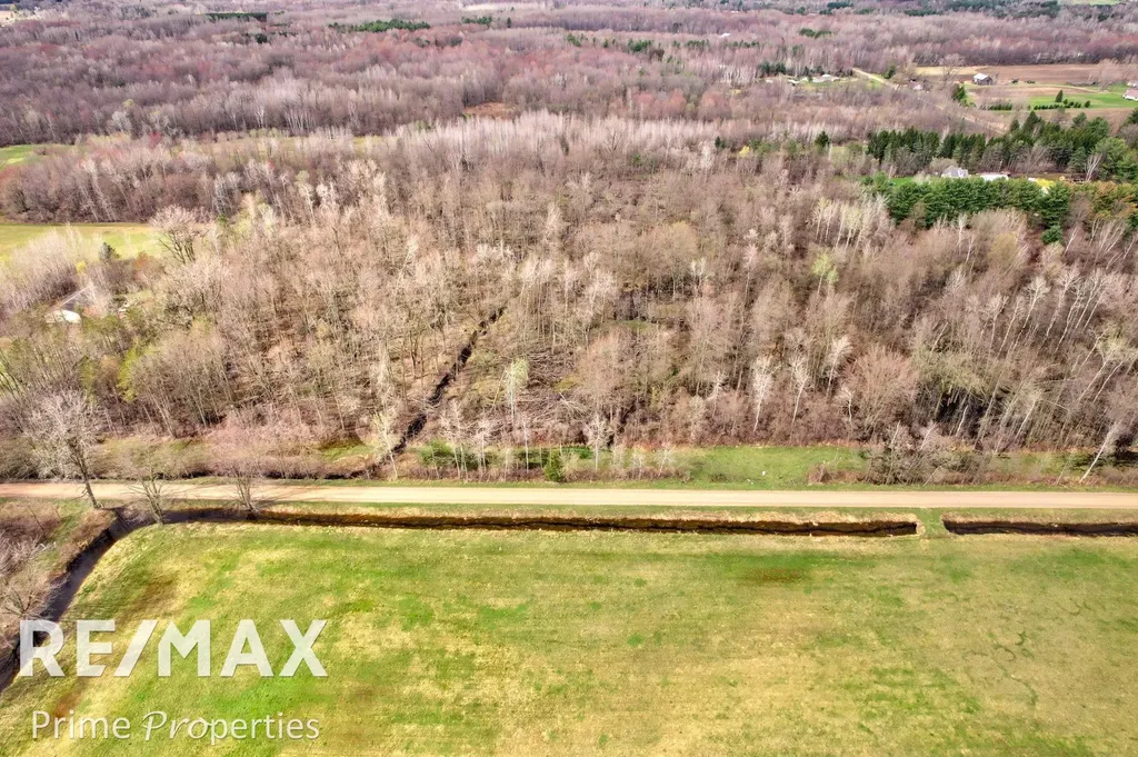 0000 S Plain & Curry Road Wells Township MI 48723