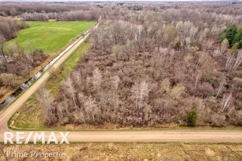0000 S Plain & Curry Road Wells Township MI 48723
